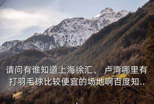 請問有誰知道上海徐匯、 盧灣哪里有打羽毛球比較便宜的場地啊百度知...