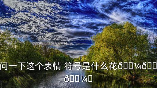 花朵符號,這些符號是什么?