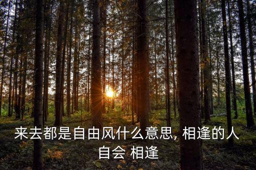相逢的人會再相逢,相逢與不相逢