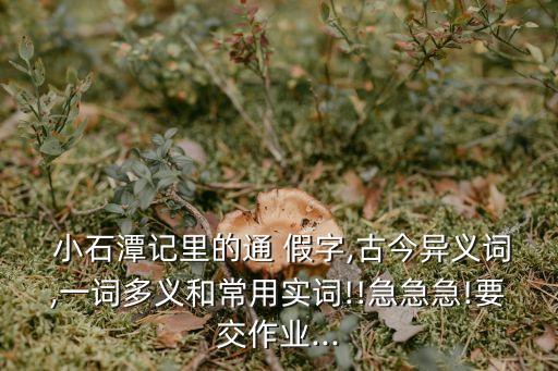  小石潭記里的通 假字,古今異義詞,一詞多義和常用實(shí)詞!!急急急!要交作業(yè)...