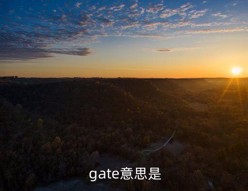  gate意思是