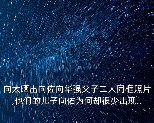 向氏家族,向氏家族族譜字輩:清清明志安