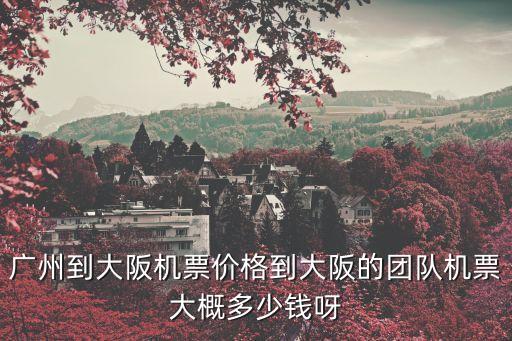 廣州大阪機(jī)票價(jià)格，廣州去日本的機(jī)票要多少錢