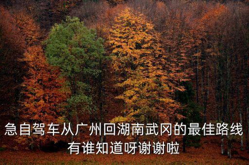 急自駕車從廣州回湖南武岡的最佳路線有誰知道呀謝謝啦
