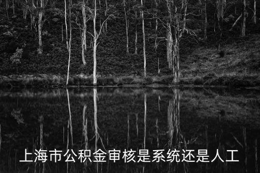 上海市公積金審核是系統還是人工