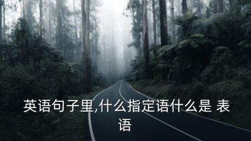  英語句子里,什么指定語什么是 表語