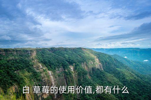 白 草莓的使用價值,都有什么
