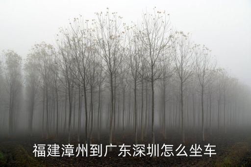 福建漳州到廣東深圳怎么坐車