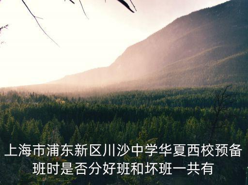 上海市浦東新區川沙中學華夏西校預備班時是否分好班和壞班一共有