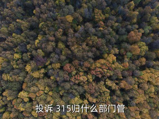 315投訴