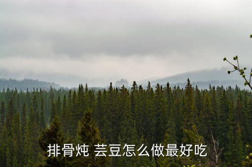  排骨燉 蕓豆怎么做最好吃