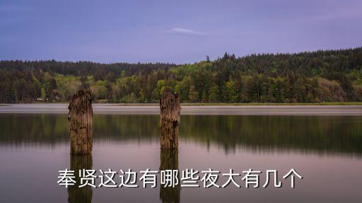 奉賢這邊有哪些夜大有幾個