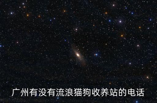 廣州流浪貓救助站電話，廣州市流浪兒童保護中心和救助管理站的辦公電話和地址