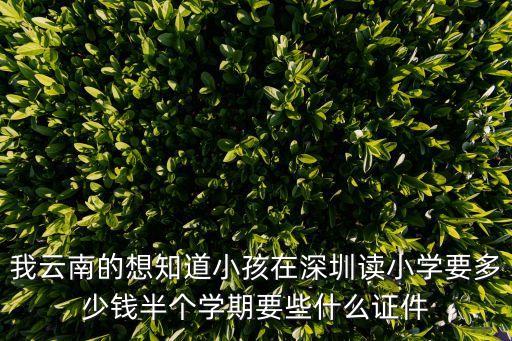 深圳二胎吧，現(xiàn)在生二胎罰多少錢