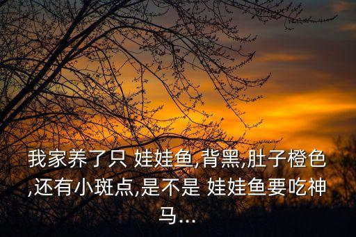 娃娃魚咬人嗎,人工飼養的娃娃魚咬人嗎