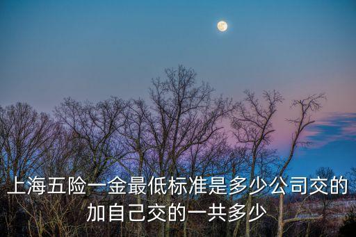 上海五險一金最低標準是多少公司交的加自己交的一共多少