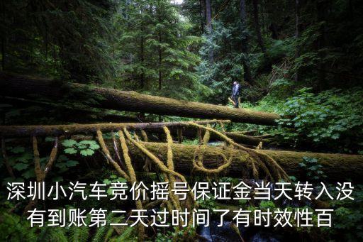 深圳小汽車競價搖號保證金當(dāng)天轉(zhuǎn)入沒有到賬第二天過時間了有時效性百