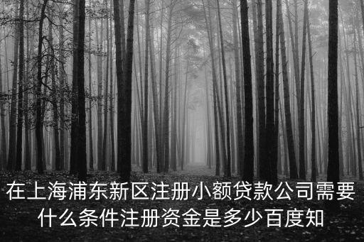 上海市金融辦雙批文，上海金融是核心期刊嗎