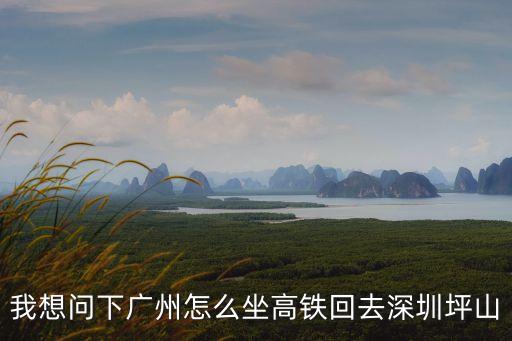 我想問下廣州怎么坐高鐵回去深圳坪山