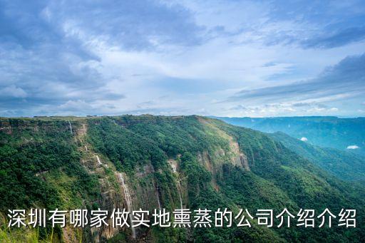 深圳有哪家做實地熏蒸的公司介紹介紹