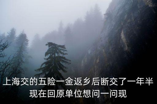 上海交的五險一金返鄉后斷交了一年半現在回原單位想問一問現