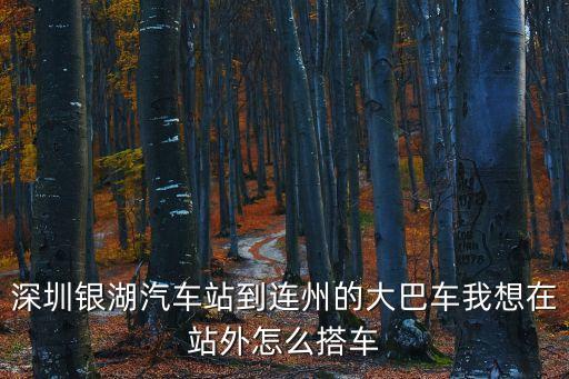 深圳銀湖汽車站到連州的大巴車我想在站外怎么搭車