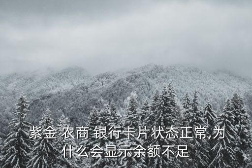 紫金 農商 銀行卡片狀態正常,為什么會顯示余額不足