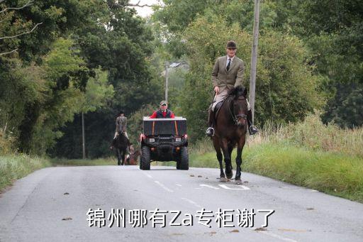 廣州傳祺錦州有店嗎，錦州哪有Za專柜謝了