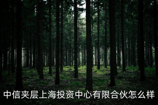 中信集團與上海市合作，中信夾層上海投資中心有限合伙怎么樣