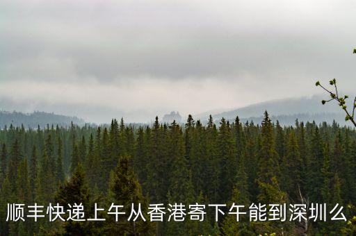 順豐快遞上午從香港寄下午能到深圳么