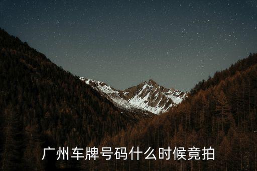 廣州拍車牌時間，廣州拍號是在什么時間