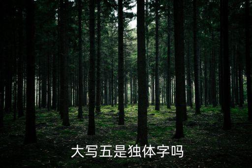 大寫五,【兒女英雄傳》第五回:我源源不斷向那個女人哭訴