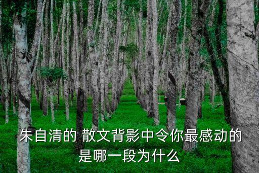 朱自清散文摘抄,朱自清散文集摘抄好詞好句加讀后感?