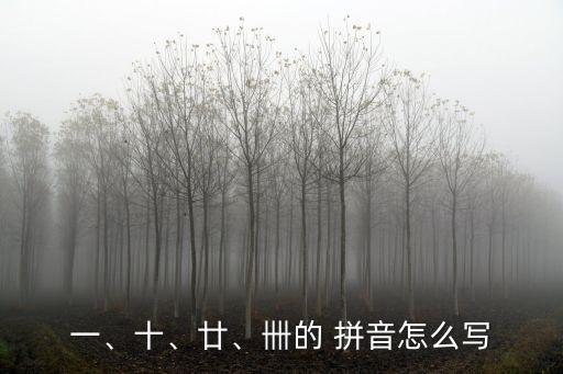 一、十、廿、卌的 拼音怎么寫(xiě)