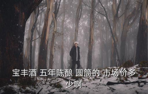 深圳圓筒報價，寶豐酒 五年陳釀 圓筒的 市場價多少啊