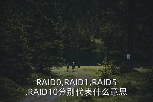 raid1
