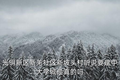 光明新區新羌社區新坡頭村聽說要建中大學城是真的嗎