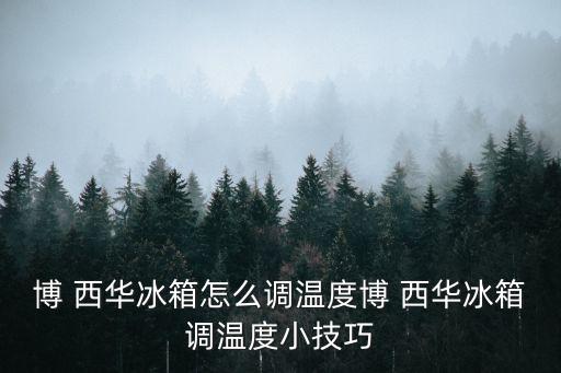 博西華,怎么買bo西華冰箱該修了