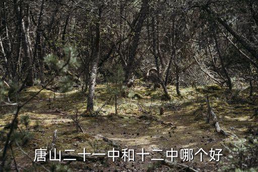 唐山二十一中和十二中哪個好