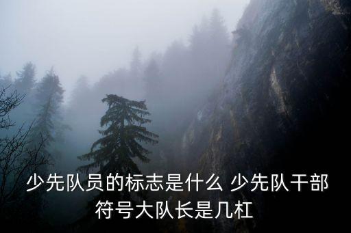 少先隊長,王灣小學少先隊長