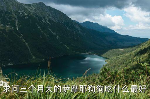 貴族狗糧