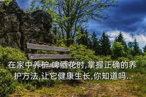 在家中養護 啤酒花時,掌握正確的養護方法,讓它健康生長,你知道嗎...