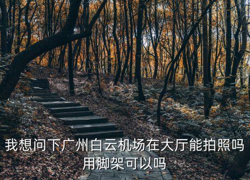 我想問下廣州白云機場在大廳能拍照嗎用腳架可以嗎