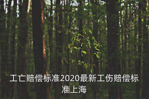 上海市工傷停薪，我在上海1號店上班現在是工傷處于停工留薪期公司給我發基本