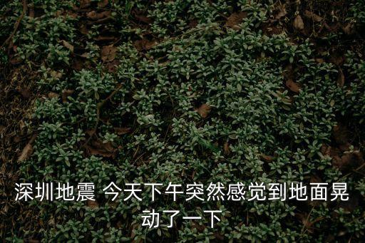 深圳中心大地震2020，剛剛深圳地震了嗎大家有感覺嗎