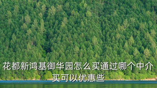 花都新鴻基御華園怎么買通過哪個中介買可以優惠些