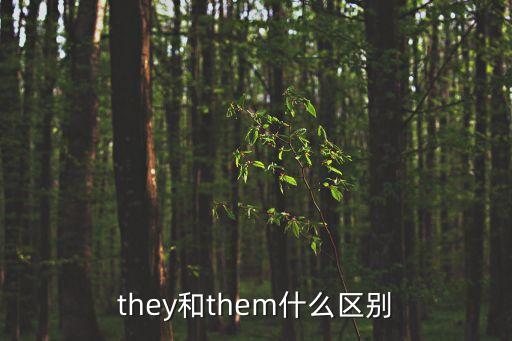 they是什么意思