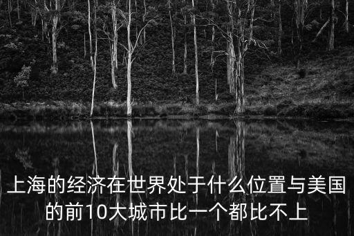 上海的經濟在世界處于什么位置與美國的前10大城市比一個都比不上