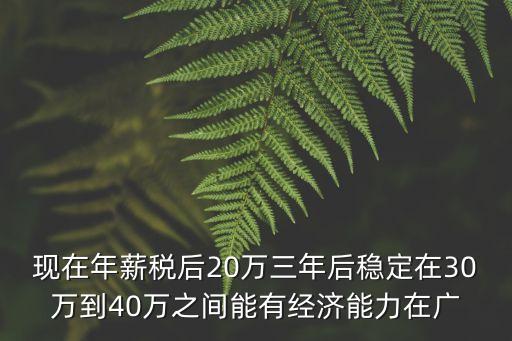 現在年薪稅后20萬三年后穩定在30萬到40萬之間能有經濟能力在廣