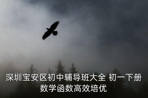 深圳七年級下冊數(shù)學，求問現(xiàn)在深圳7年級下數(shù)學教材是人教版的還是北師大版